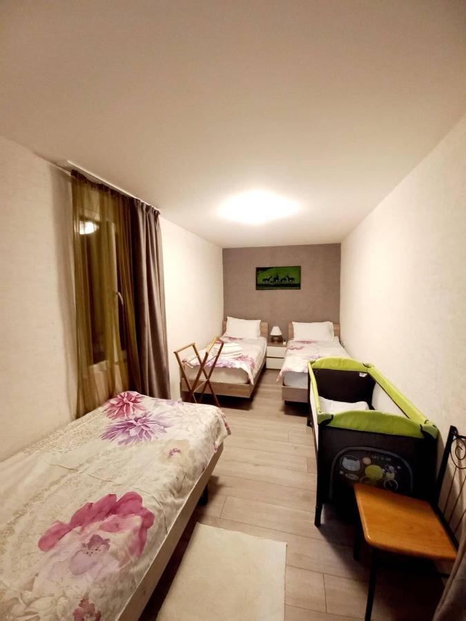 Boutique Apartment 17 ティビリシ エクステリア 写真