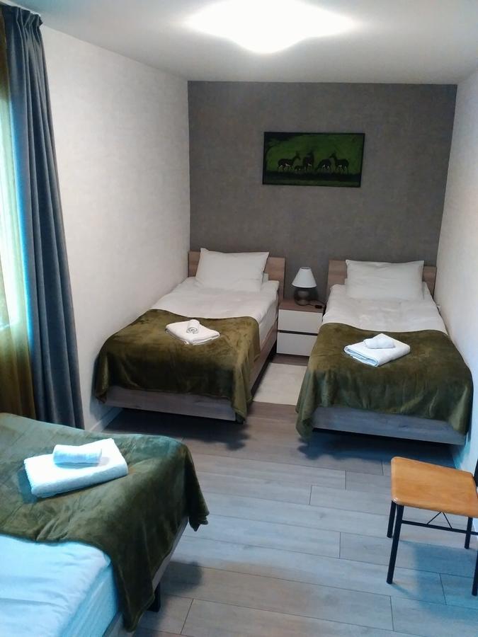 Boutique Apartment 17 ティビリシ エクステリア 写真